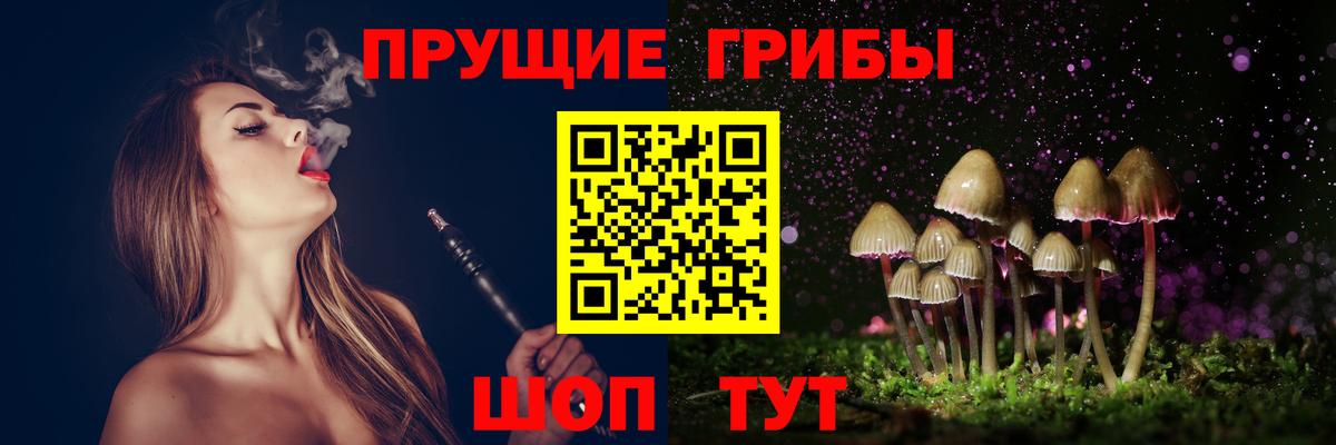 Псилоцибиновые грибы мухоморы Дивногорск